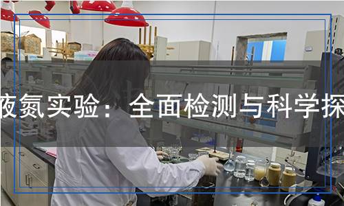 液氮實(shí)驗(yàn)：全面檢測(cè)與科學(xué)探索