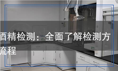工業(yè)酒精檢測：全面了解檢測方法與流程
