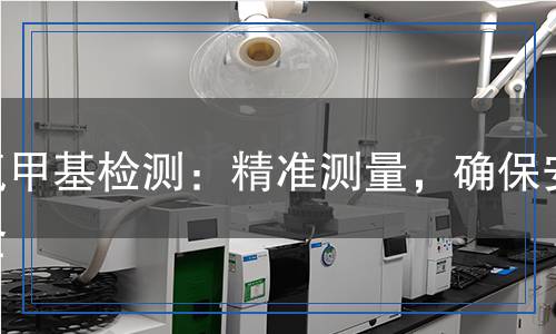 氮甲基檢測：精準測量，確保安全