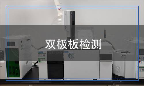 雙極板檢測