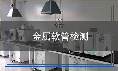 金屬軟管檢測