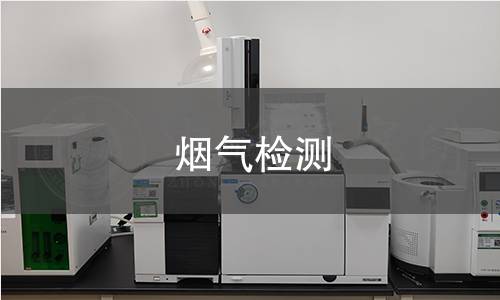 煙氣檢測