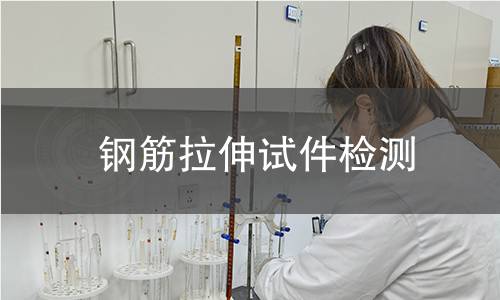 鋼筋拉伸試件檢測,鋼筋拉伸試件檢測機構,鋼筋拉伸試件檢測報告,中析研究所檢測中心